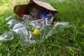 Many transparent empty water bottles are gathered in the paper bag on the green grass. Royalty Free Stock Photo