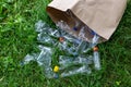 Many transparent empty water bottles are gathered in the paper bag on the green grass. Royalty Free Stock Photo