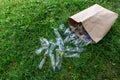 Many transparent empty water bottles are gathered in the paper bag on the green grass. Separate waste and recycle plastic bottles Royalty Free Stock Photo