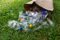 Many transparent empty water bottles are gathered in the paper bag on the green grass. Royalty Free Stock Photo