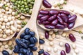 Many types of beans are separated in a spoon on a wood table such as mung bean, soybean, black bean, red bean. Leguminous plant Royalty Free Stock Photo