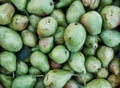 Many `Ugly Fruit` Green Pears For Sale at Open Air Market Royalty Free Stock Photo