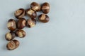 Many of uncooked healthy chestnuts on a gray background
