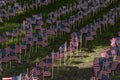 Many usa flags on green field Royalty Free Stock Photo