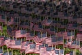 Many usa flags on green field Royalty Free Stock Photo