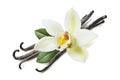 Many vanilla sticks, flower and leaves Royalty Free Stock Photo