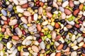 Various Varieties of Beans and Legumes, Background Royalty Free Stock Photo