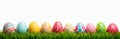 Many vibrant painted Easter eggs sit in row on fresh green grass. Colorful egg unique pattern design. Isolated white background. Royalty Free Stock Photo