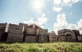 Many Vintage Apple Crates At An Orchard