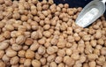 Many walnuts for sale Royalty Free Stock Photo