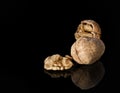 Many walnuts shelled and in-shell macro a reflection on a black Royalty Free Stock Photo