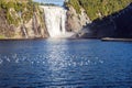 Many water birds resting in water Royalty Free Stock Photo