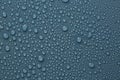 Many water drops on dark dusty blue background Royalty Free Stock Photo