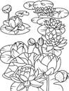 Many water lilies on the pond. Beautiful flowering aquatic plant. Coloring book.