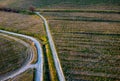 Many Ways in Vineyards Before Sunset