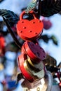 Many wedding colorful locks on a wedding tree Royalty Free Stock Photo