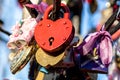 Many wedding colorful locks on a wedding tree