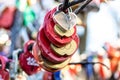 Many wedding colorful locks on a wedding tree Royalty Free Stock Photo