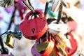 Many wedding colorful locks on a wedding tree Royalty Free Stock Photo