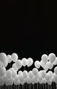 Many white balloons isolated on black background, vertical design with copy space on top, perfect to use as a greeting card, for