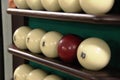 Many white balls and one brown ball on the shelf-stand for billiard balls in a row for playing Russian Billiards