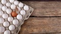 Many of white chicken eggs, one egg brown and small feather near with it  in tray Royalty Free Stock Photo