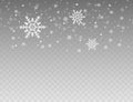 Many white cold flake elements on transparent background. Heavy snowfall, snowflakes in different shapes and forms. Vector stock Royalty Free Stock Photo
