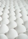 Many white eggs