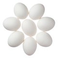 Many white eggs isolated on white