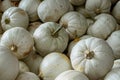 Many white Japanese Hokkaido Kabocha squashes