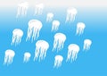 Many white jellyfish on blue sea background Royalty Free Stock Photo