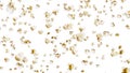 Flying many popcorns on white background. White salty popcorn. Healthy food. Corn seed. 3D loop animation of popcorn rotating.