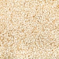 Many white sesame seeds close up Royalty Free Stock Photo