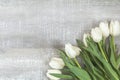 Many white tulips on light wooden surface Royalty Free Stock Photo