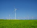 Many wind turbines standing on German field with lush green grass in spring, Nordfriesland, Germany, Europe Royalty Free Stock Photo