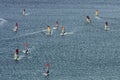 Many windsurfers on the sparkling waves