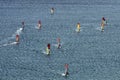 Many windsurfers on the sparkling waves