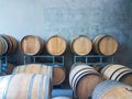 Many wine barrels in a cellar