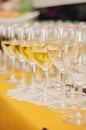 Many wine glasses in rows on a table with a yellow tablecloth. Glasses filled with red wine and white wine. Restaurant setting or Royalty Free Stock Photo