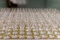 many wine glasses on trays Royalty Free Stock Photo