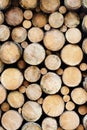 Many wood logs piled up, natural wooden texture as background