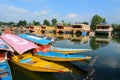 Many wooden boats on the Dal Lake by boat in Srinagar, India Royalty Free Stock Photo