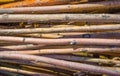 Many wooden branches close up photo. Orange and red thin wooden rods stacked together.