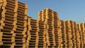 Many wooden palettes for industrial warehouse, 3d rendering