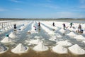 Many workers working in the salt pan field Royalty Free Stock Photo