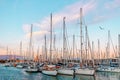Many yachts on the background of the evening pink sky in Port Vell in Barcelona Royalty Free Stock Photo