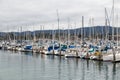 Many Yachts in Monterey Harbor