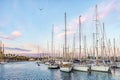 Many yachts are moored in the Port of Barcelona in the evening Royalty Free Stock Photo