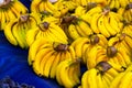 Many yellow bananas on farmer market. Ripe tropical fruits on the market counter. Healthy organic food. Selective focus. Blurred Royalty Free Stock Photo