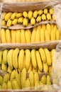 many yellow bananas for sale at market Royalty Free Stock Photo